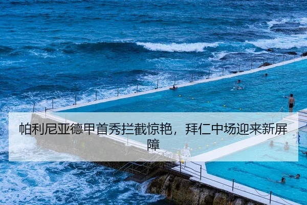 帕利尼亚德甲首秀拦截惊艳，拜仁中场迎来新屏障